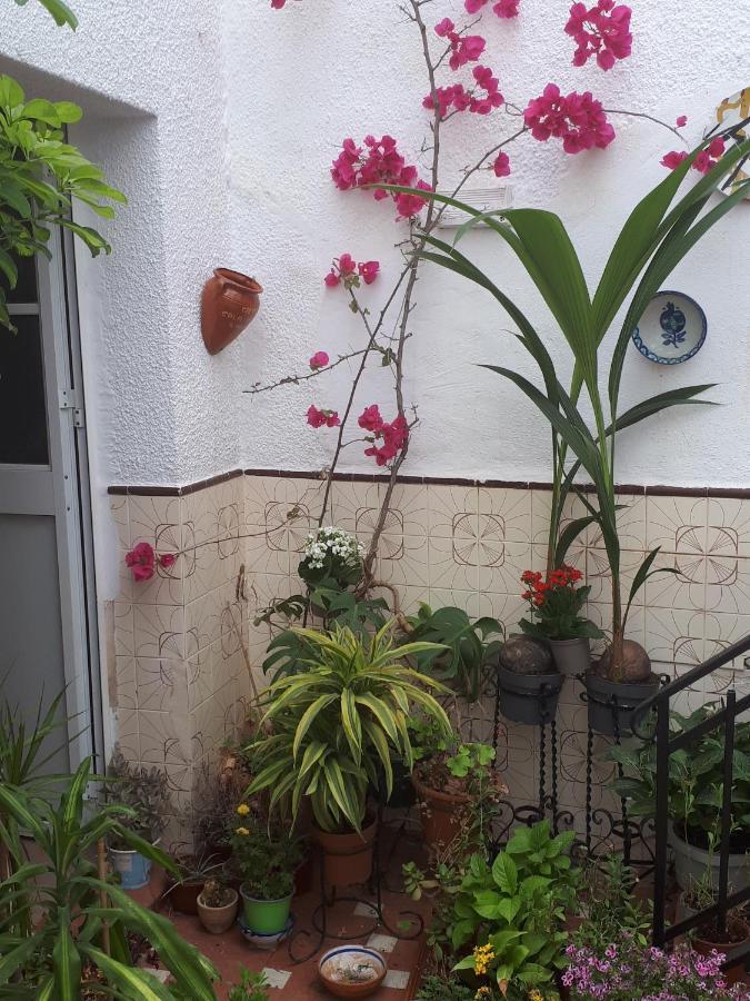 The Jasmine House Hotel Olvera Bagian luar foto